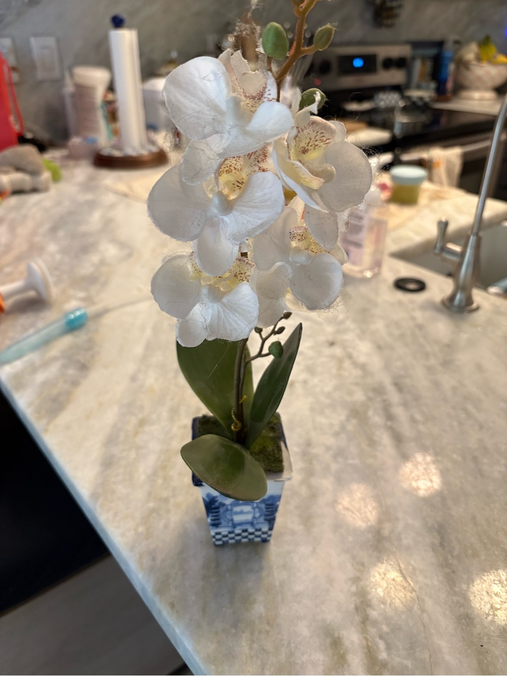 MacKenzie-Childs White Faux Orchid in Blue Planter